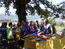 France-Burgundy-Provence and Carmargue